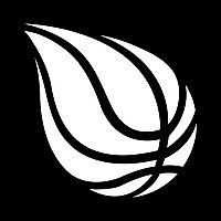 Sportando Basketball