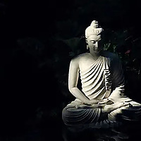 Moon Mind Temple