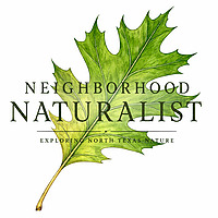 The Neighborhood Naturalist Podcast