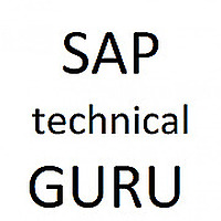 Saptechnicalguru.com