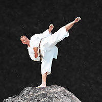 Shotokan Karate Blog