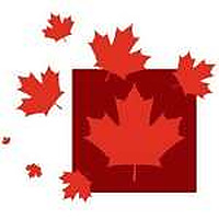 New Canadian Media