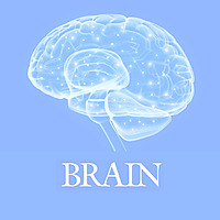 Oxford Academic &raquo; Brain
