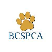 BC SPCA