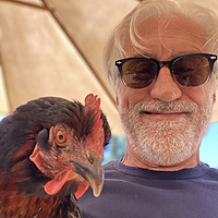 Mark DeSpain Blog