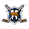Hockeyfights