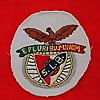Em Defesa do Benfica