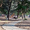 The Healthy City Local