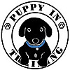 Puppy In Training