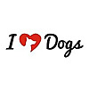 iHeartDogs Blog