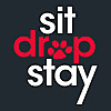 Sit Drop Stay | Dog Behaviour and Training 