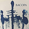 Bacopa Literary Review Editors' Blog