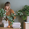 Littlegreenshed | UK 