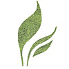 Full Leaf Tea Company - Loose Leaf Tea Blog