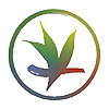 Verdant Tea | A marketplace for small family tea farmers, directly from their farm to your cup.