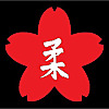 All about JUDO
