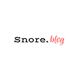 Snore.Blog | Insomnia 