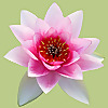 Dubunne Spa Club and Massage Center