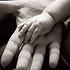 Natural Fertility Prescription