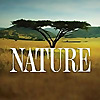 Nature on PBS 