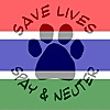 Vet Clinic Gambia