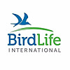 BirdLife International News