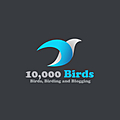 10,000 Birds