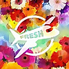 Jet Fresh Flowers | Youtube