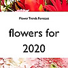 Flower Trends Forecast | Youtube