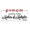 Paradise Valley Mothers of Multiples Blog