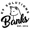 Banks K9 Solutions | Dog Training 