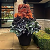 Dirt Simple | Gardening and Landscape Blog by Deborah Silver