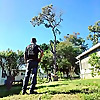 Liberty Tree & Landscape Management 