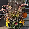 Natural Impressions Landscaping