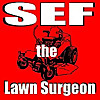 SEF the Lawn Surgeon - Lawn Care & Vlogging 