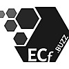 ECf Solutions | Fantasy Equity Crowdfunding