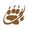 Gay bears rss channel Old and fat shemales