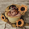 Annapolis Area Doulas