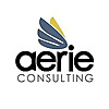 Aerie Consulting Blog