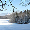 Brinoco