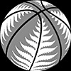 Basketball New Zealand