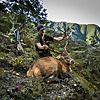 NewZealand guns and hunting