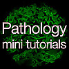 Pathology mini tutorials