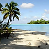 Coconut Science Lab