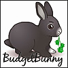BudgetBunny | Pet Vlogger