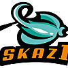 Skaz 1