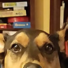 Just Deenie