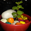 Gardening Needs Patience (GNP)