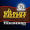 TheWildlifeGallery