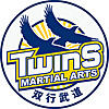 Twins Martial Arts
